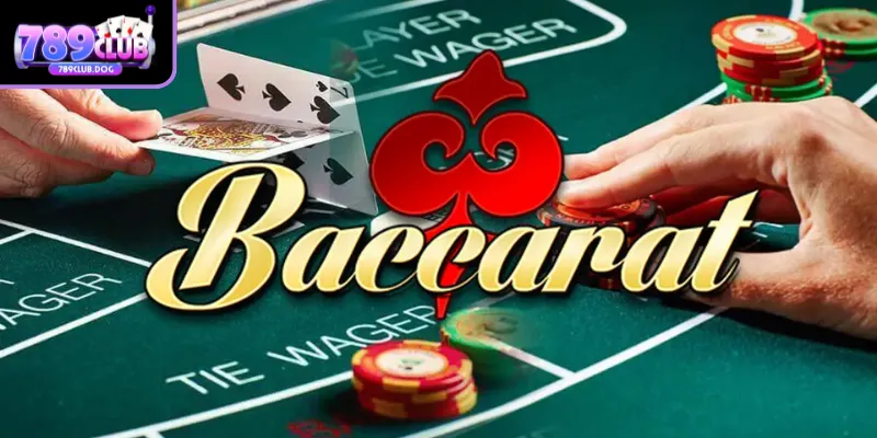 Thuật ngữ Baccarat cần biết